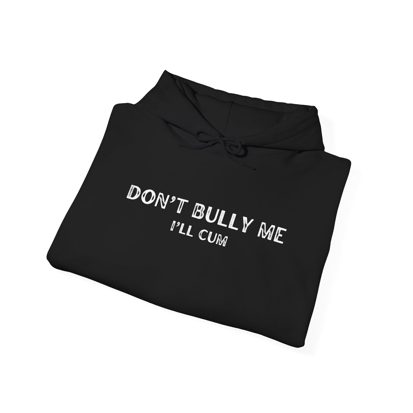 Don't Bully Me, I'll Cum Hoodie